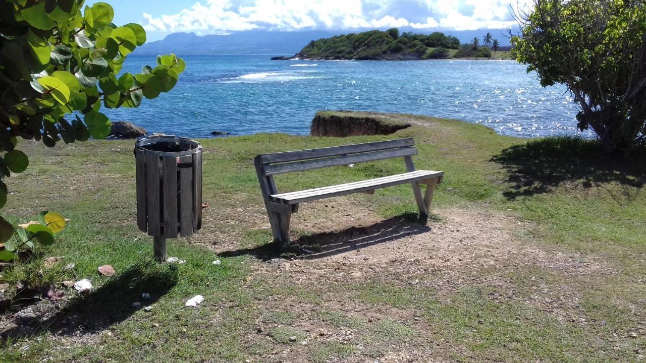 Le Studio Oncle Sam - Acces Piscine Et Plage Le Gosier  Eksteriør billede